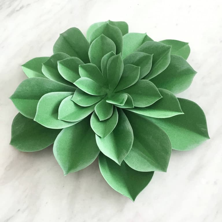 plante grasse en feutrine artificielle