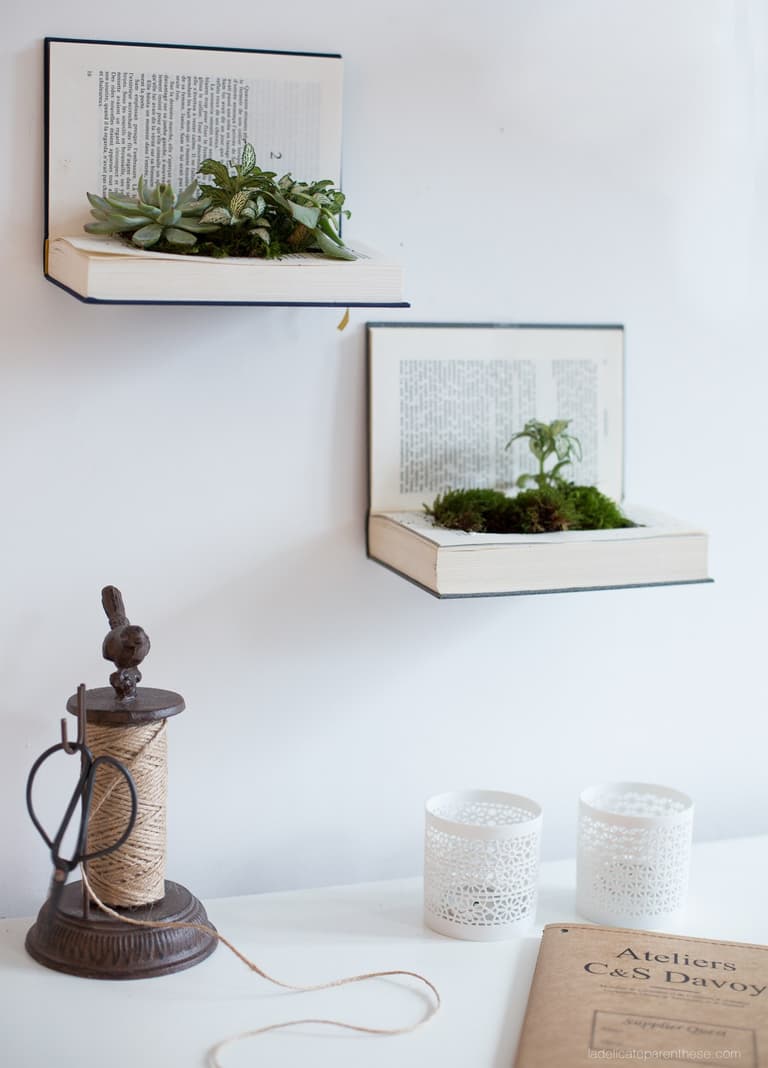 idée déco récup support plante grasse - blog déco - clem around the corner
