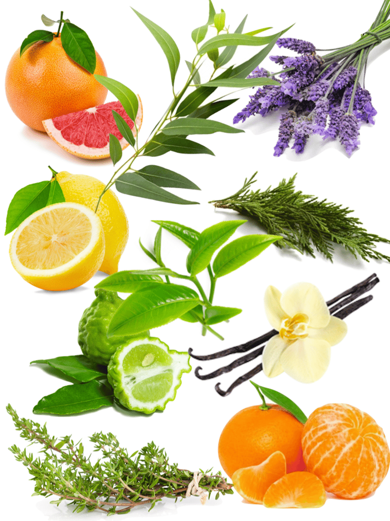 huiles essentielle pour diy bombe de bain bio citron cyprès vert lavande mandarine pamplemousse tea tree - blog déco - clemaroundthecorner