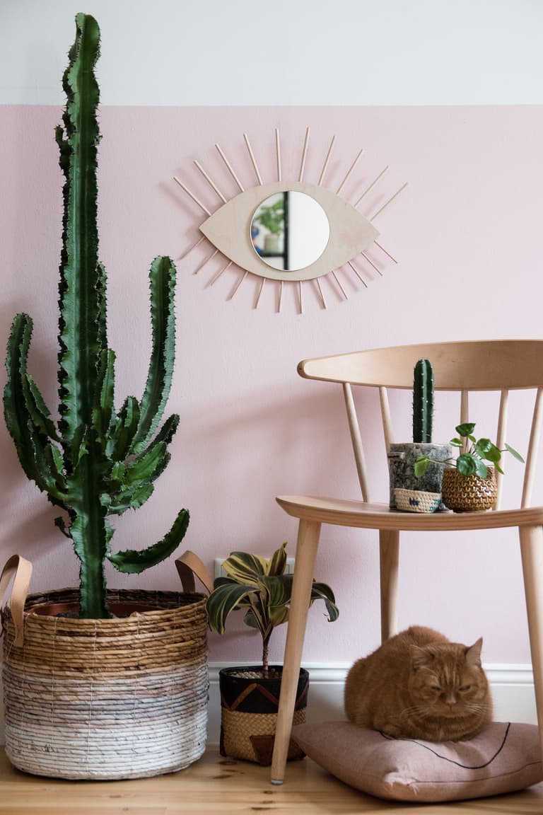 blog déco salon exotique cactus vert miroir laiton oeil soleil