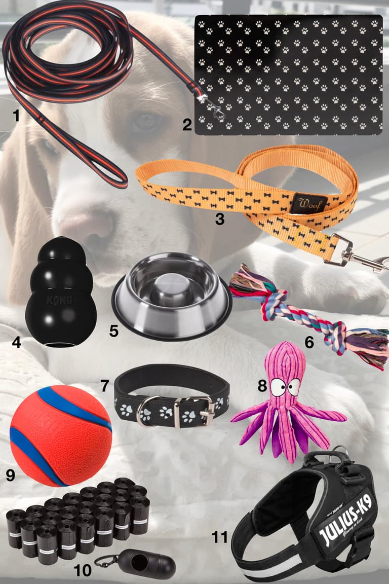accessoire équipement chien longe laisse gamelle anti glouton jouets distributeur ramasse crotte - blog déco - clematc
