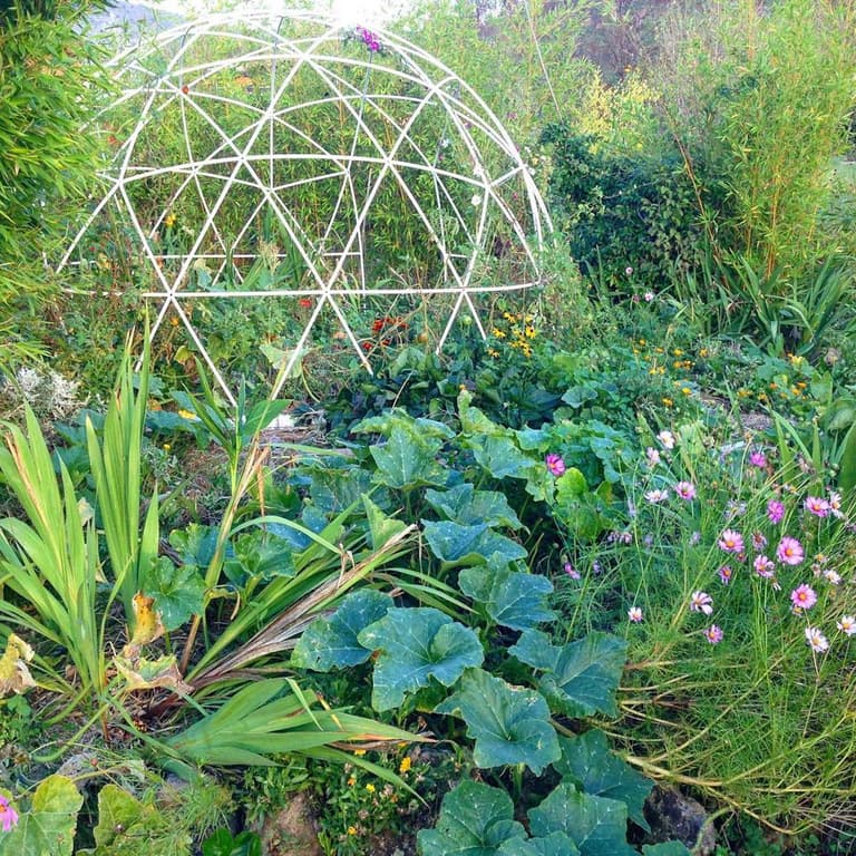 jardin potager serre bulle de jardin résistante tendance couverture transparente déco tendance
