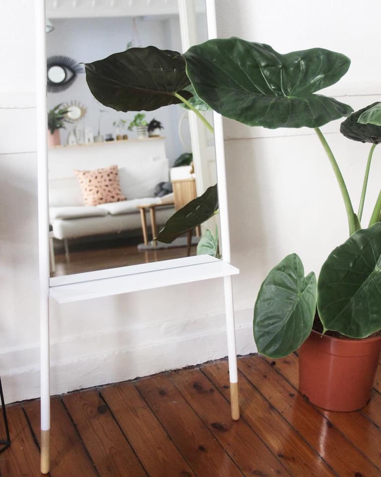 salon plante verte miroir scandinave blanc bois reflet sur le salon - clematc