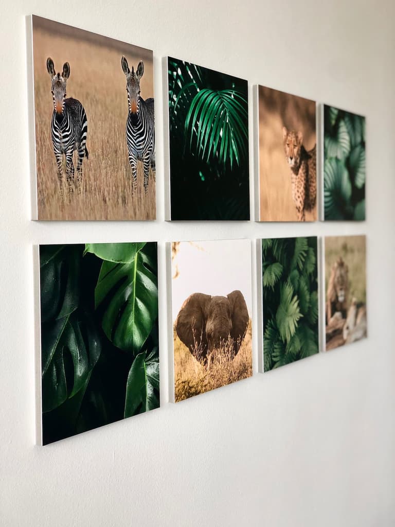 décoration murale photo vacances souvenir animaux chambre ado fille