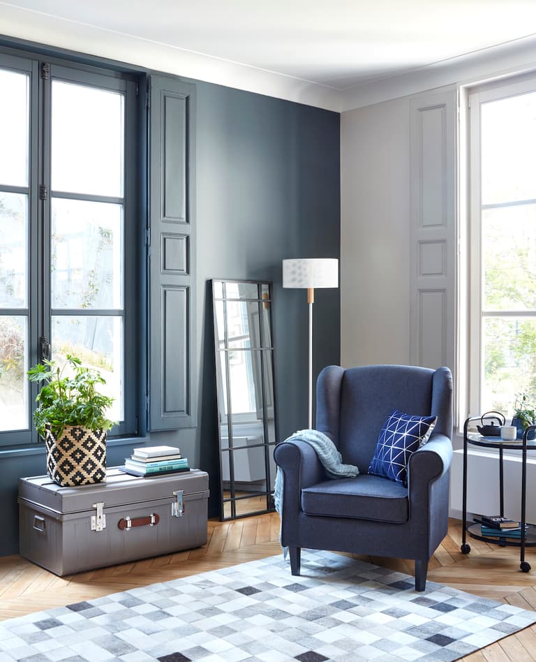 salon bleu profond avec mur coloré et décoration chaleureuse