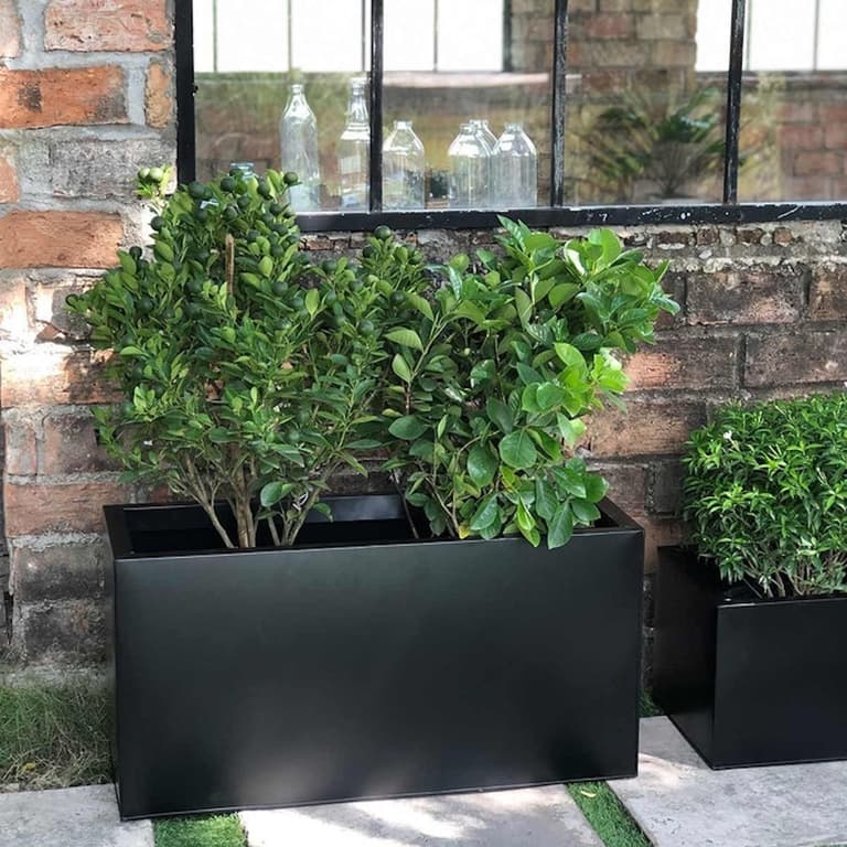 bac jardinière extérieur plante - blog déco - clematc