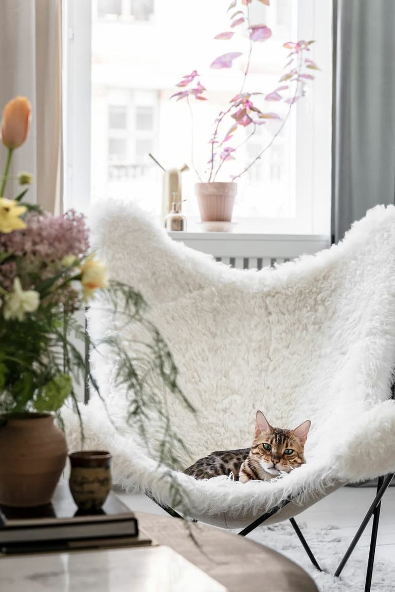 fauteuil papillon fourrure salon blanc chat décoration style modernisme