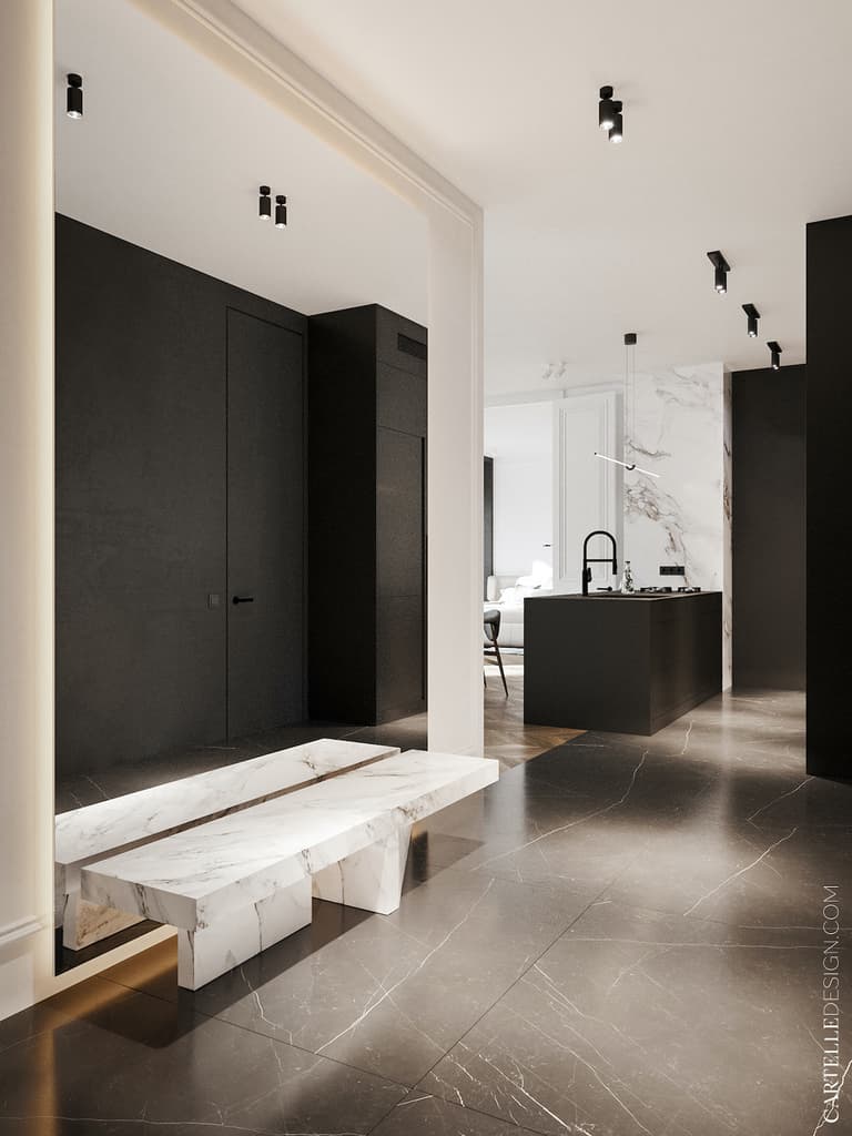 appartement noir blanc bois décoration entrée banc marbre placard mat miroir géant mural