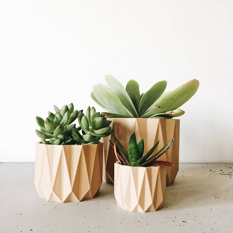 cache pot terracotta plante grasse - blog déco - clematc