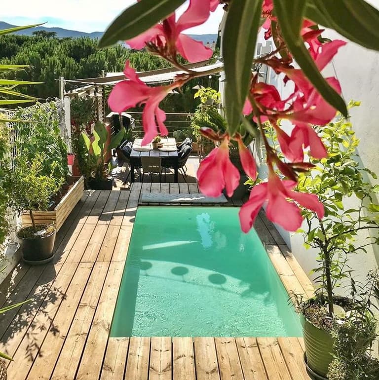Terrasse en bois avec piscine et plantes vertes