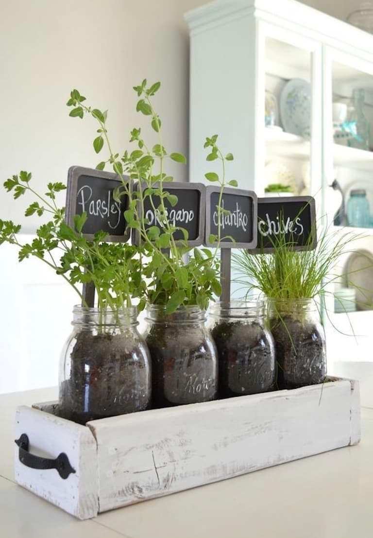 bocal verre plante aromatique cuisine potager intérieur