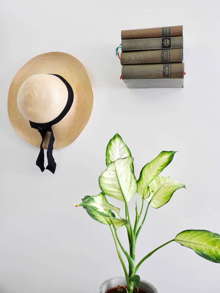 étagère invisible livre suspendu diy magique