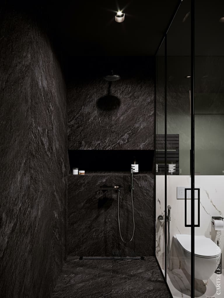 douche italienne noire carrelage effet ardoise roche appartement 3 pièces