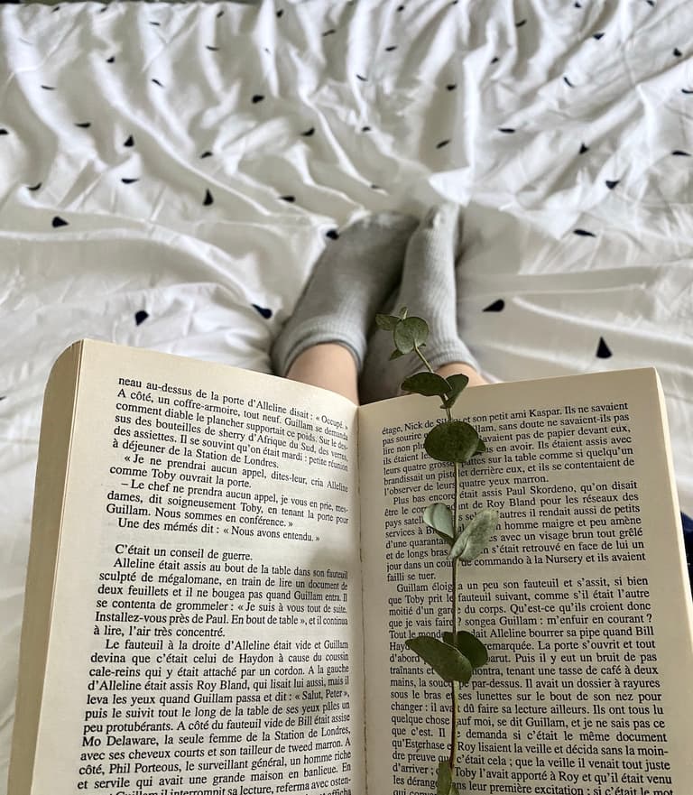 bouquiner au lit marque-page eucalyptus séché lit blanc