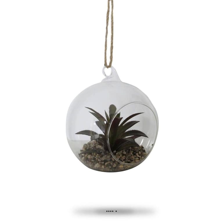bulle verre soufflé terrarium suspendu plante succulente blog déco