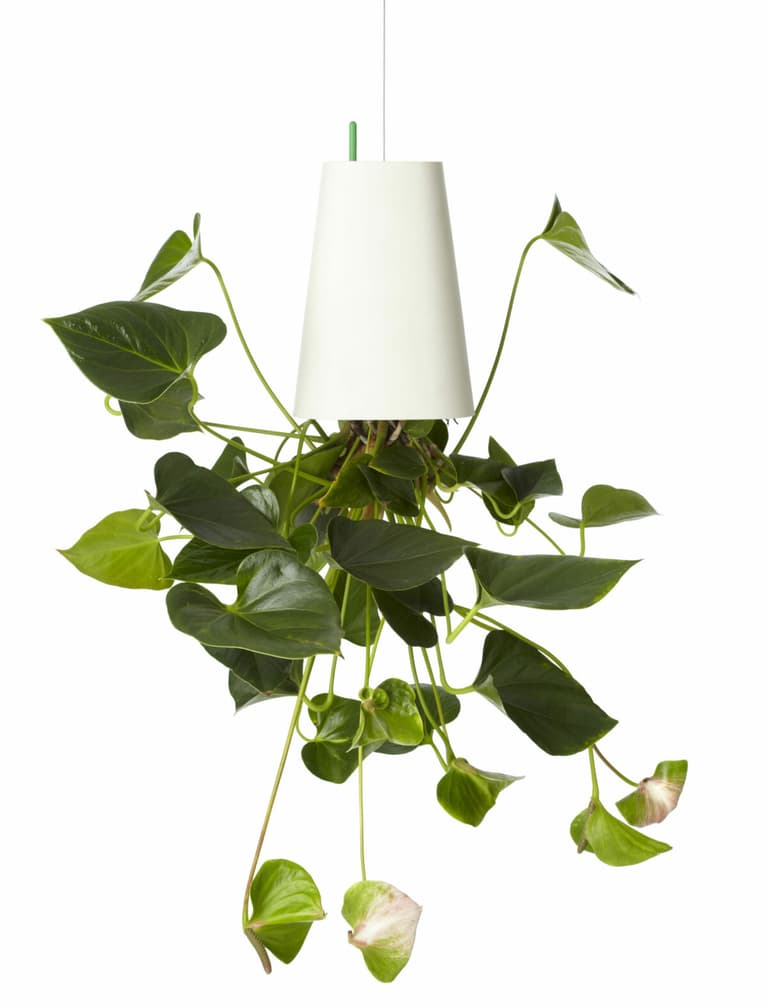 jardinière suspendue tombe plafond illusion déco green plante