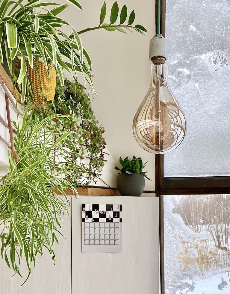 Calendrier mural à damier noir et blanc installé dans un coin végétalisé près d’une ampoule