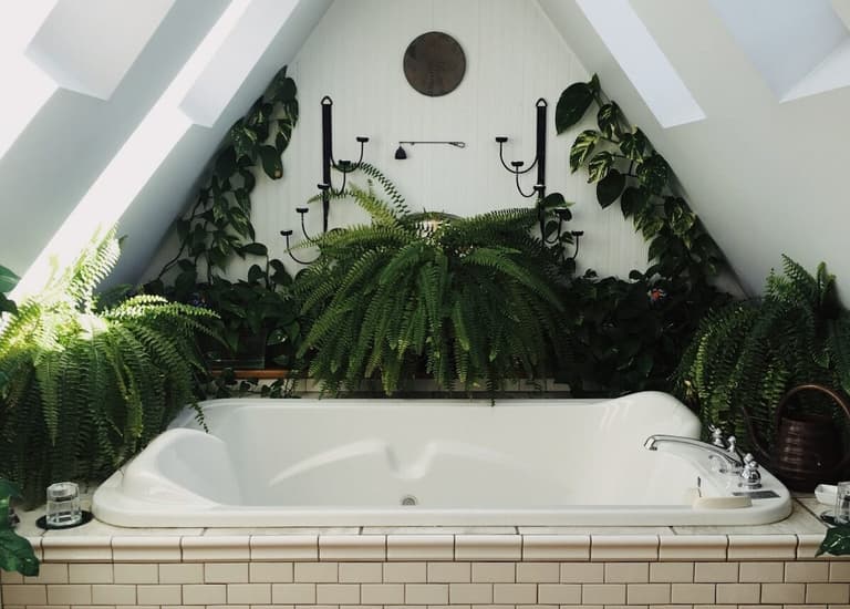 salle de bain thème nature urban jungle combles aménagées