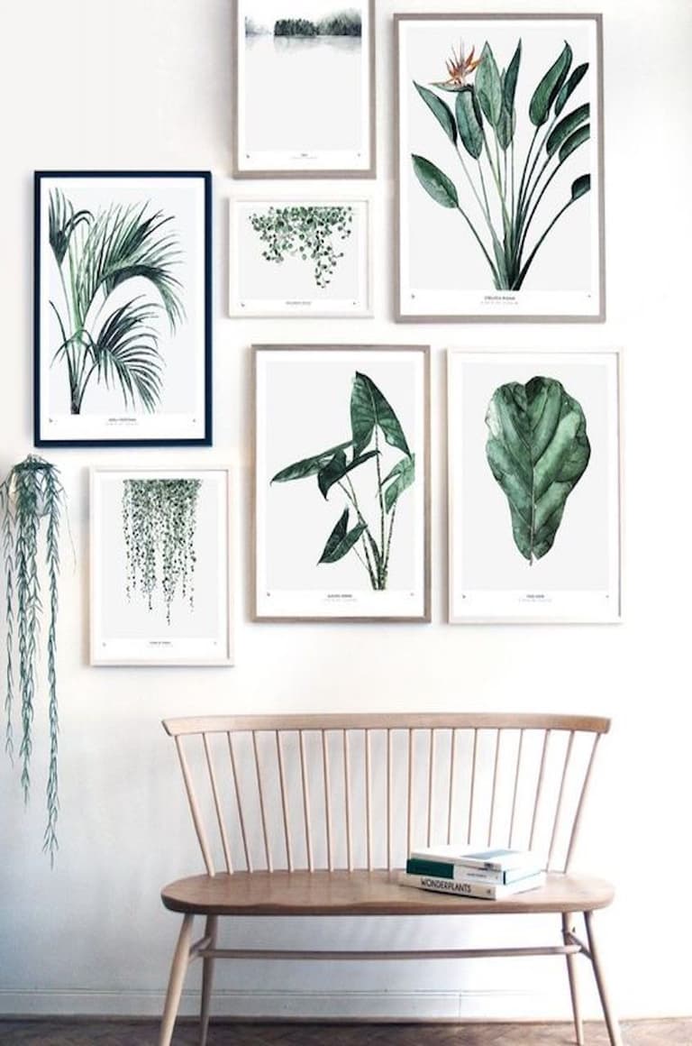 décoration intérieure mur de cadres végétal banc bois parquet plante verte