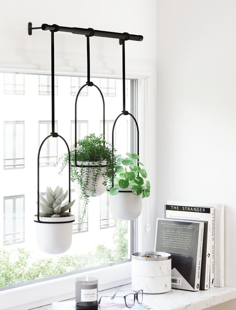 deco intérieure plante verte pot suspendu deco