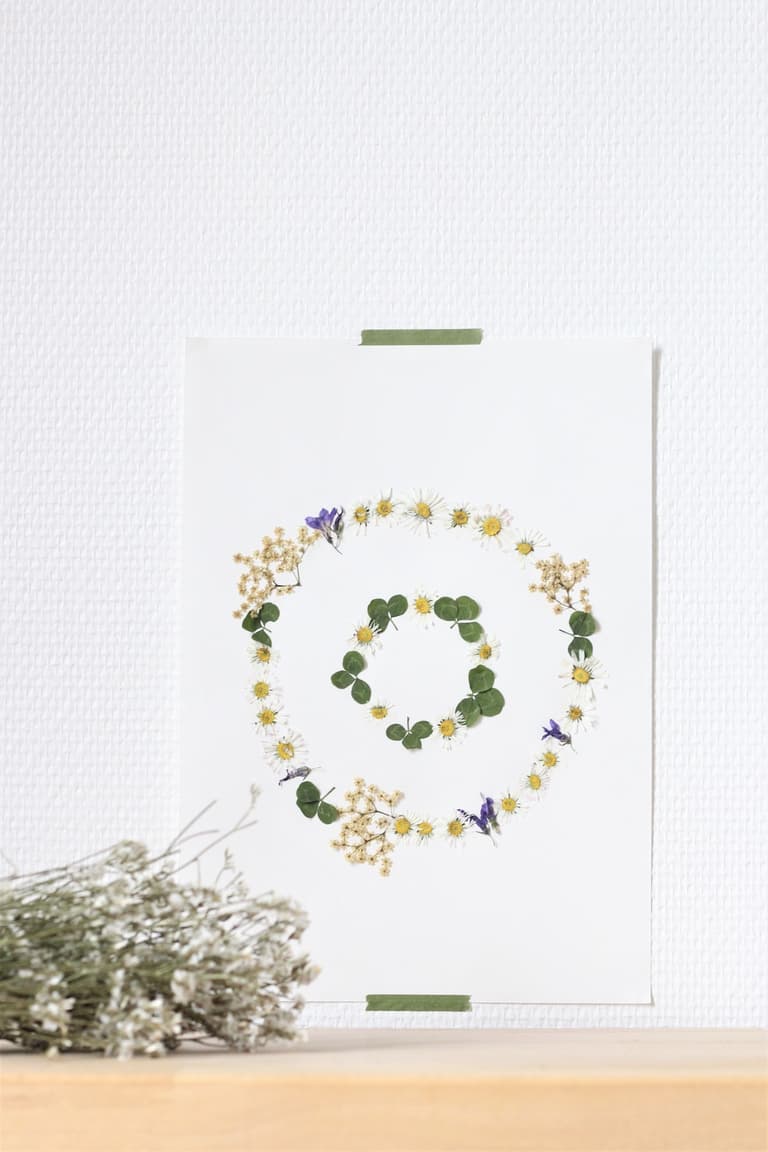 herbier mural mandala de fleurs géométriques