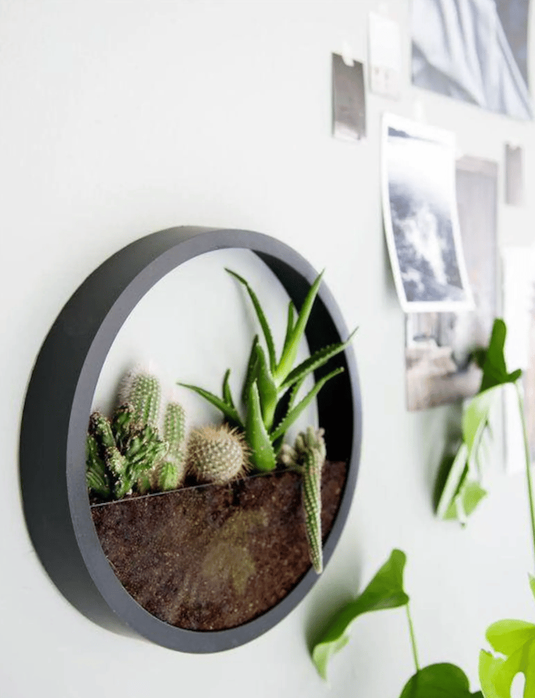 jardiniere deco nature moderne plantes vertes