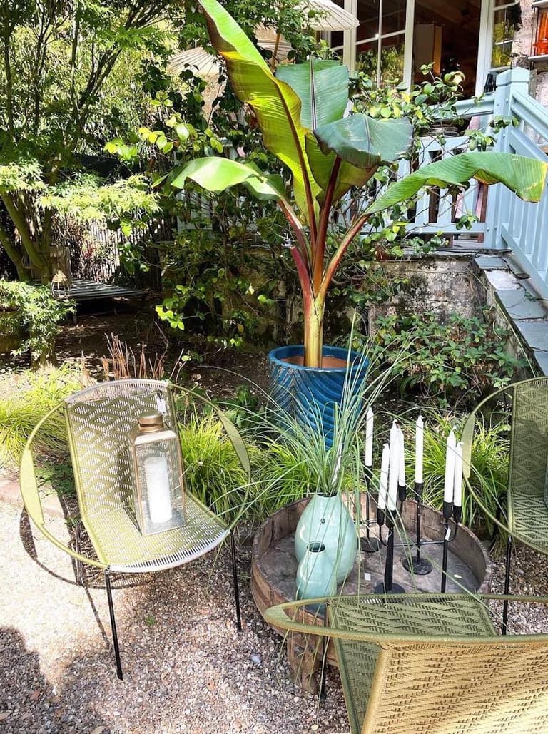 jardin exterieure deco vegetal naturelle