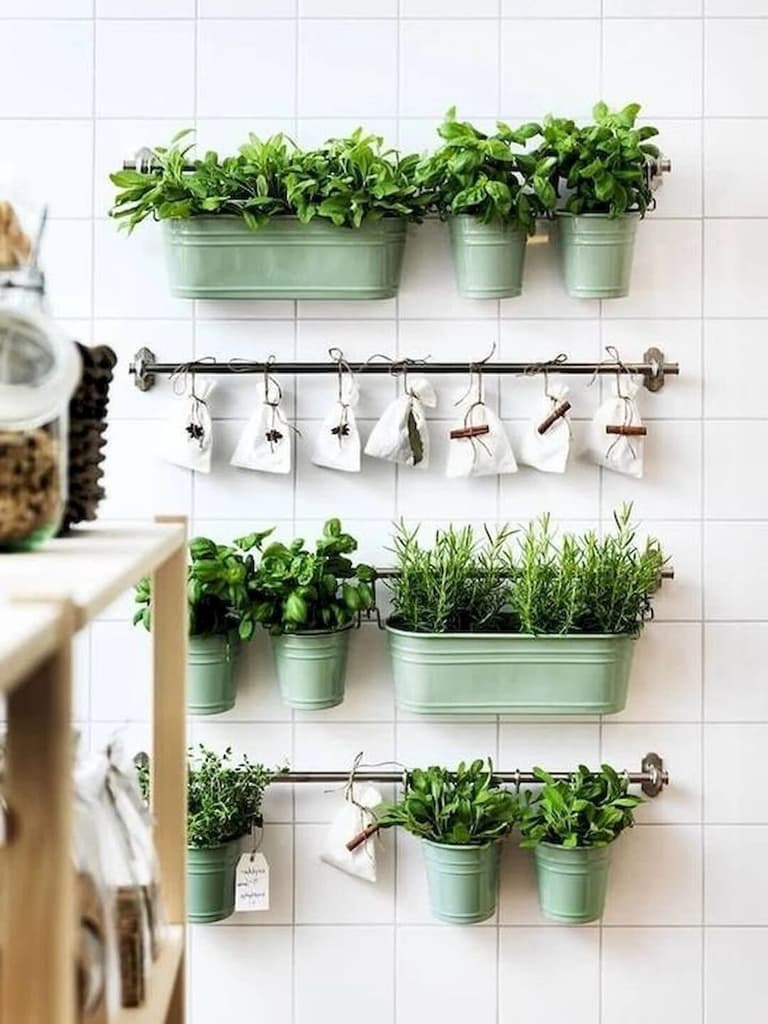 cuisine lumineuse mur credence blanche jardiniere pot vert pastel