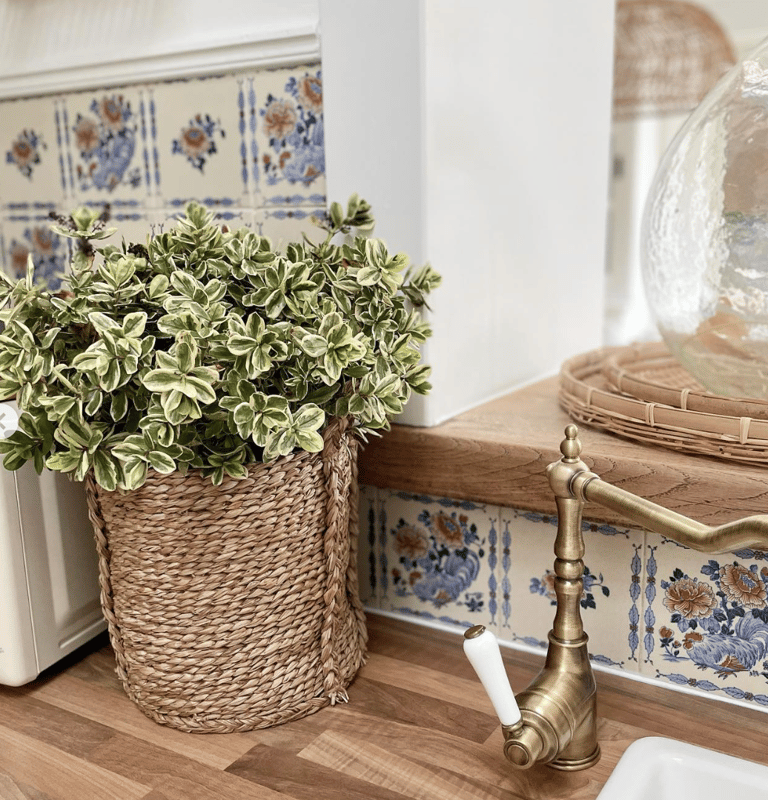 Cuisine ouverte en bois avec plante verte