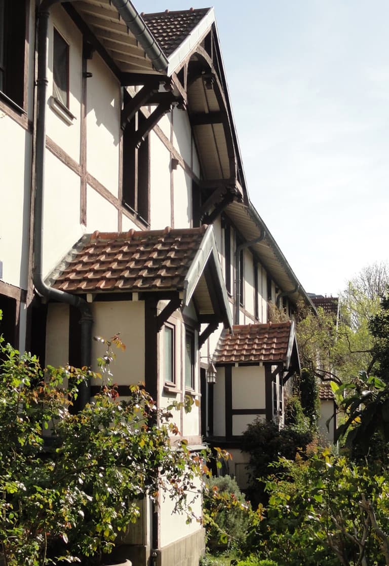 maison chalet artiste poutre bois marron facade blanche