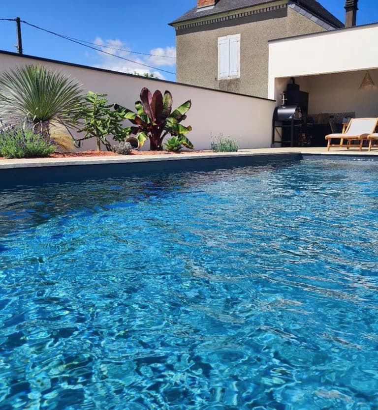 piscine jardiniere plante verte plante grasse