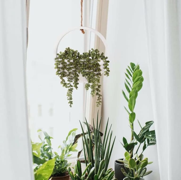 pot suspension plante verte deco nature