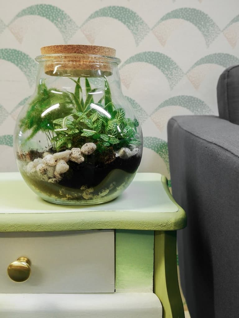 Terrarium en bocal posé sur le plateau vert de la table de chevet relookée