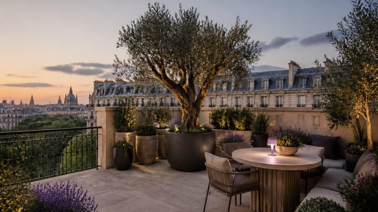 Idées jardinières sur une terrasse parisienne luxueuse au coucher du soleil