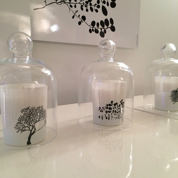 Bougies senteur arbre eucalyptus santal création Élisabeth de Feydeau nez Guerlain