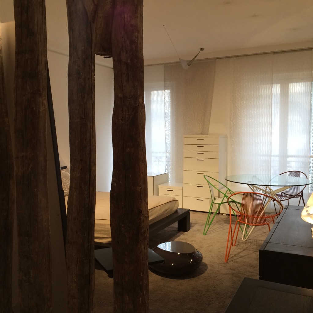 Roche bobois collection 2015 boutique. www.clemaroundthecorner.com