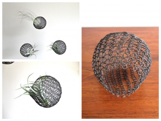 Cage à suspendre pour plante grasse.