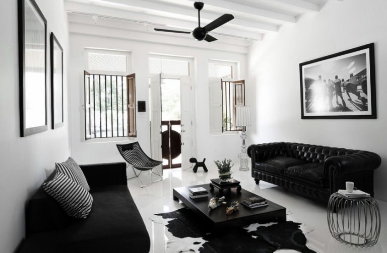 salon noir et blanc inspiration deco
