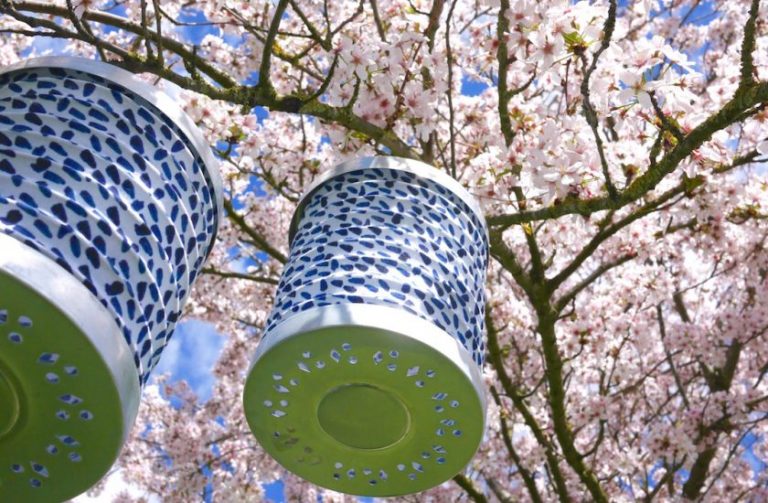 Sawa sawa bougeoir nature & Découvertes