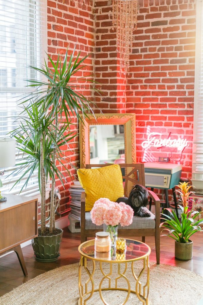 Urban jungle colorée appartement fluo multicolore