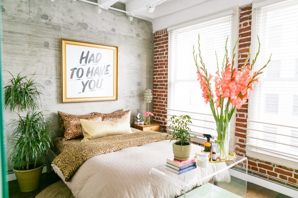 Urban jungle colorée appartement fluo multicolore