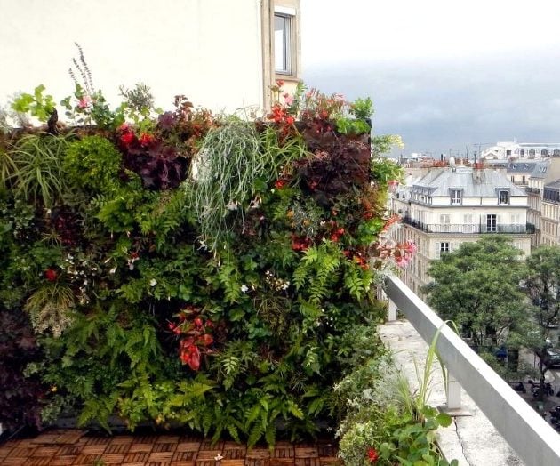 idee jardin mur plante separation balcon diy