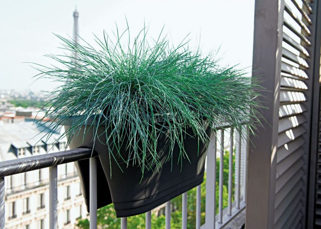 idee jardiniere balcon parisien vue tour eiffel