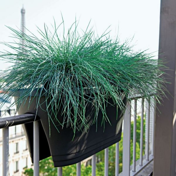 idee jardiniere balcon parisien vue tour eiffel
