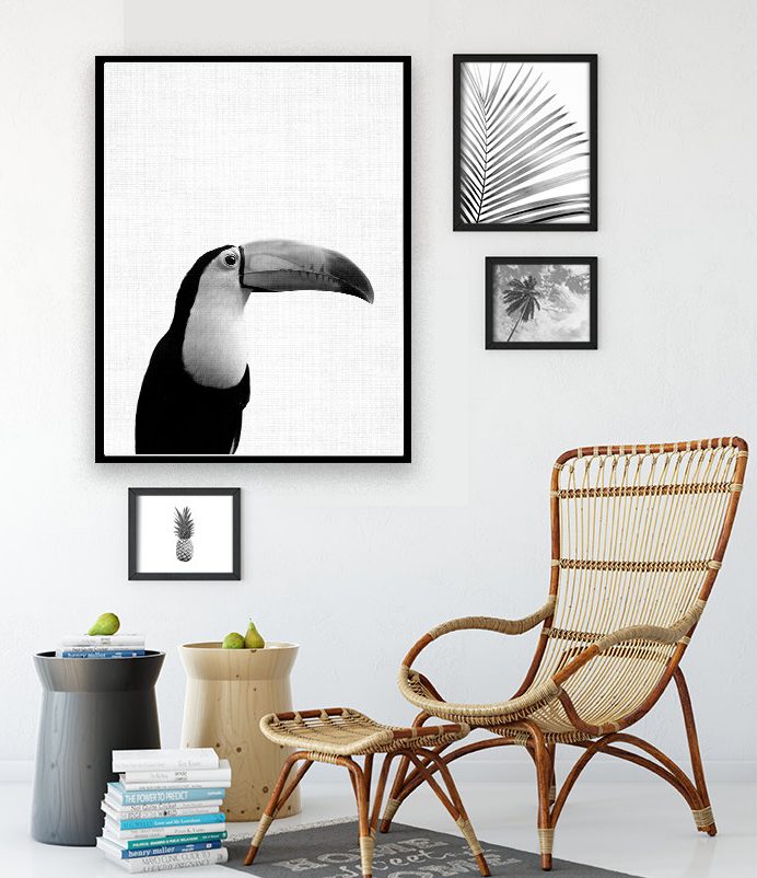 déco toucan affiche photographie blog noir et blanc