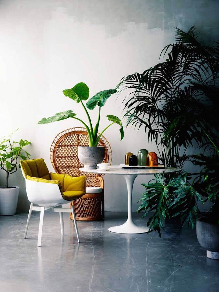 le fauteuil emmanuelle decoration urban jungle loft clem