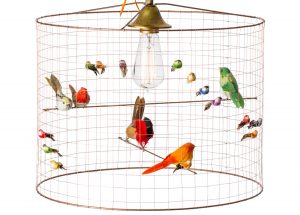 Lampe Voli Re Oiseaux En Cage Ou La Trouver Diy