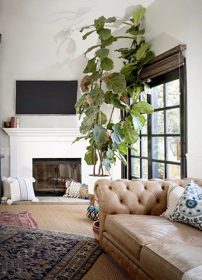 maison californinenne salon canape cuir boho decoration plantes