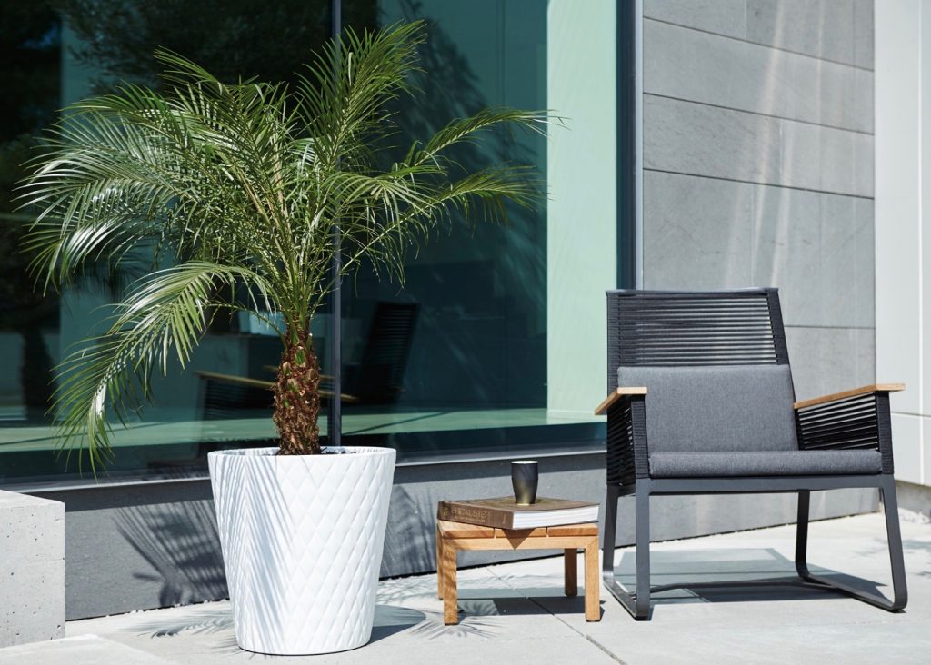 elho pot plante géant design blog deco clemaroundthecorner