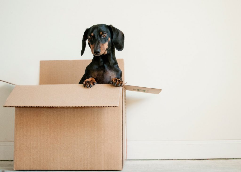 homebox avis self stockage garde meuble paris blog deco clemaroundthecorner